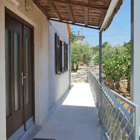 Apartament Dollar *