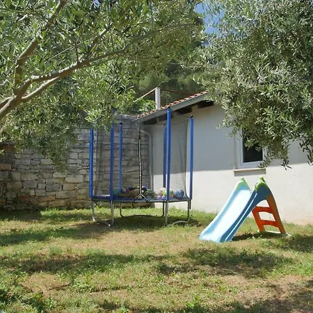 Dollar Apartment