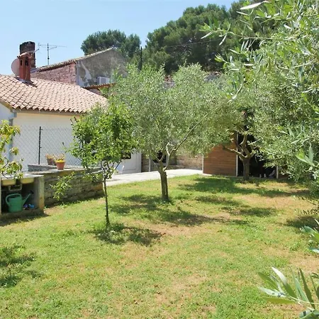 Apartman Dollar Póla